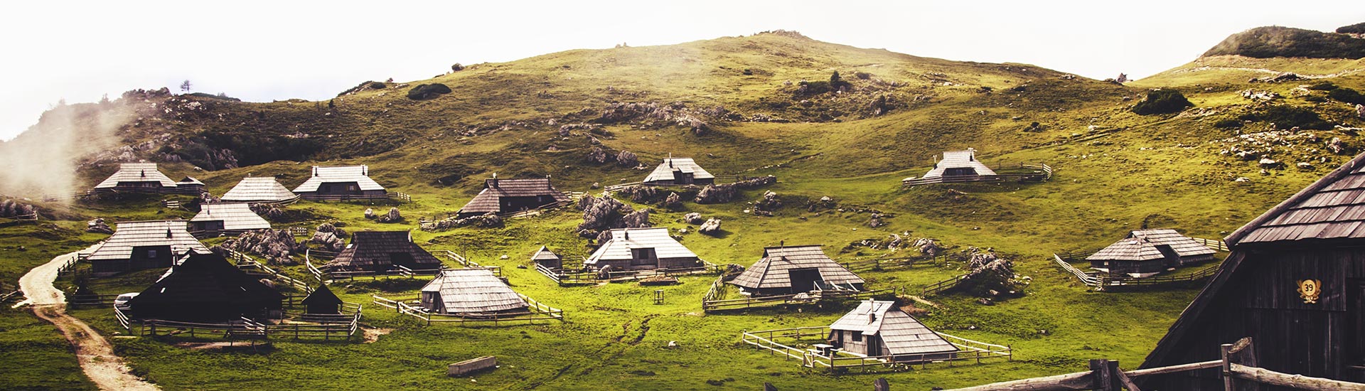 home-image-2 g